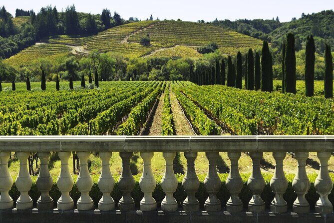 Private Half Day Txakoli Wine Tour & Getaria Fishing Village - Key highlights you’ll actually care about