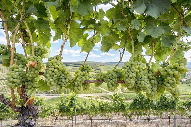 Private Half Day Txakoli Wine Tour & Getaria Fishing Village - Zarautz viewpoint: the quick orientation stop