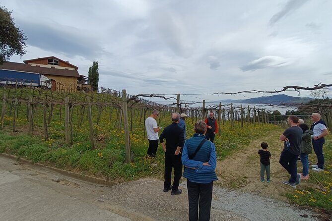 Private Half Day Txakoli Wine Tour & Getaria Fishing Village - Txakoli winery visit and guided tasting with local snacks