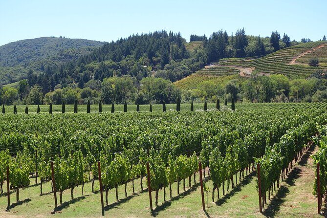 Private Half Day Txakoli Wine Tour & Getaria Fishing Village - Why the tour price can feel fair at $246.05 per person