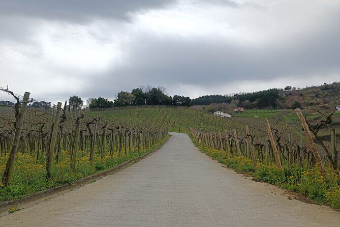 Private Half Day Txakoli Wine Tour & Getaria Fishing Village - Getting the most from Matteo’s hosting style