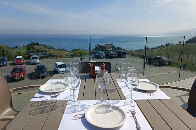 Private Half Day Txakoli Wine Tour & Getaria Fishing Village - Timing tips for a 4–5 hour day (and the missing lunch)