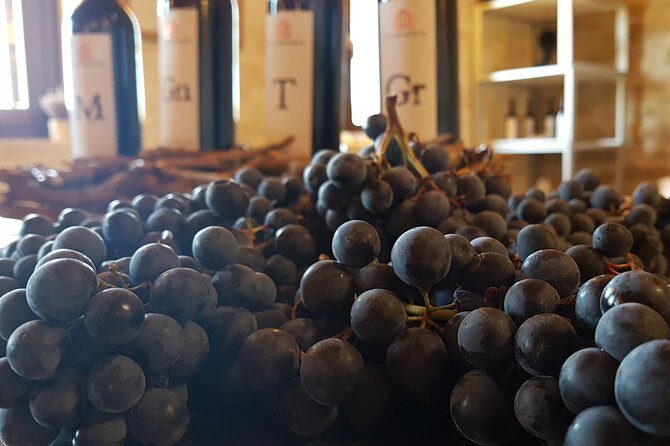 Private Rioja Wine Tasting Tour from San Sebastian - Stop 1 in Haro: Centenary Cellars and Barrel Aromas