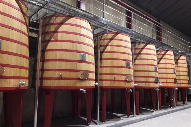 Private Rioja wine tasting tour with local lunch - Bodegas Ysios: the photo stop that’s worth planning for