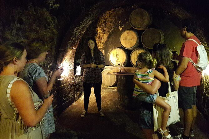 Private Rioja wine tasting tour with local lunch - La Rioja in one block: two wineries, food bites, and a medieval reset