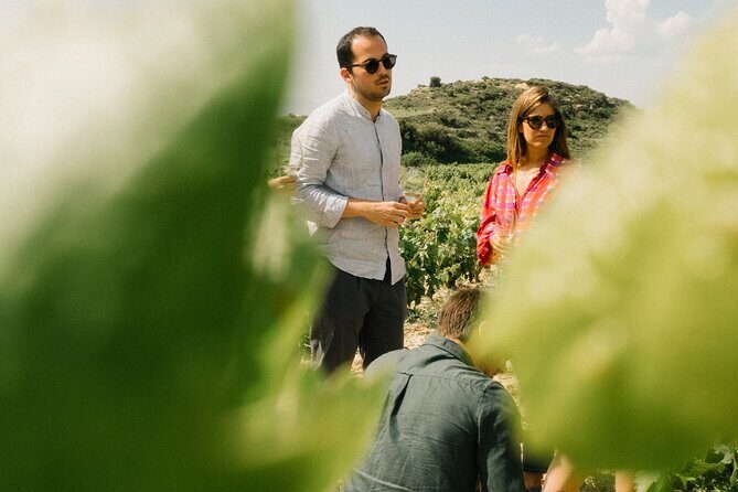 Private Rioja Wine Tour of Vines and Wines in Spain - Key things to know before you go