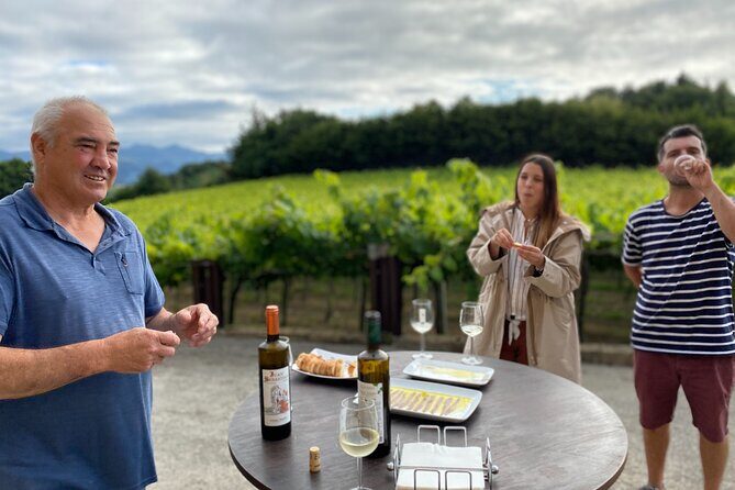 Private Tour at a Family Winery and Basque Coast Route - Private tour format: small-group comfort with real flexibility