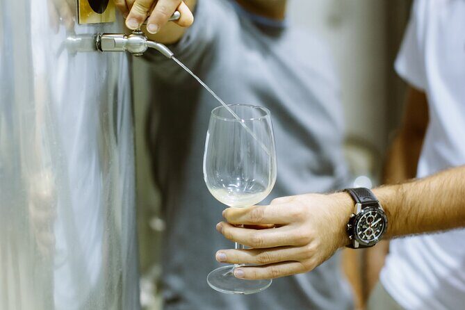 Private Tour at a Family Winery and Basque Coast Route - Txakoli Elkano: how the wine works before you taste it