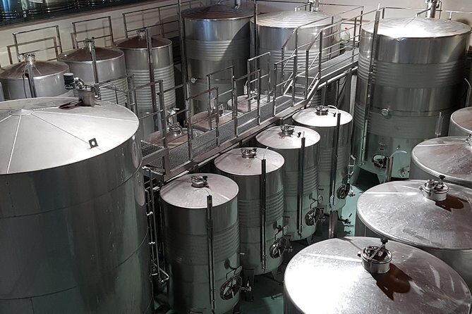 Private Txakoli Wine Tour through the Coast from San Sebastian - Who This Tour Suits Best (And Who Might Feel Cramped)