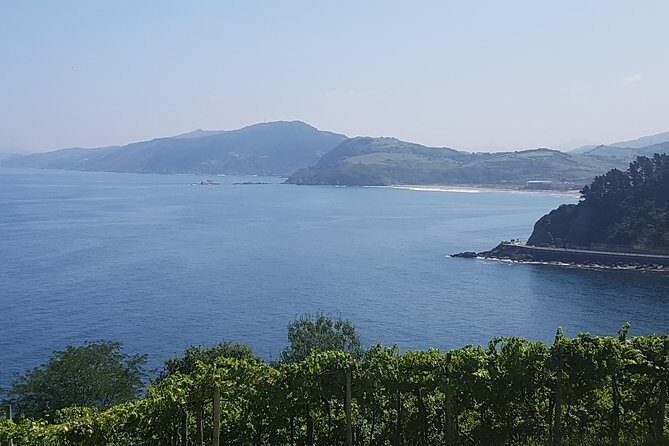 Private Txakoli Wine Tour through the Coast from San Sebastian - What the $303.14 Private Price Buys You (And What It Doesn’t)