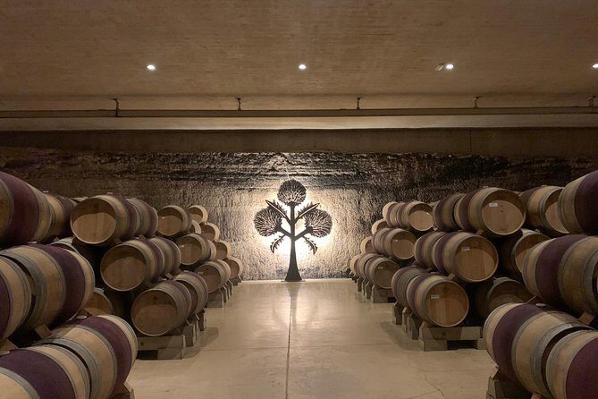 Rioja Alavesa Wineries and Medieval Villages Day Trip - Key Things You’ll Love About Rioja Alavesa + Medieval Villages
