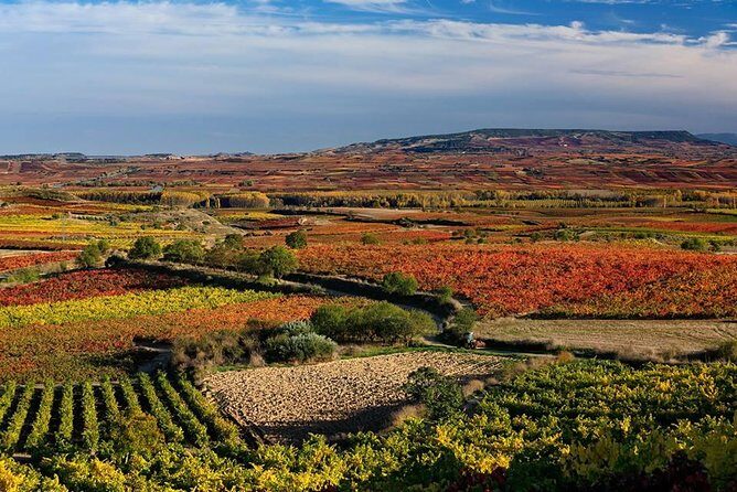 Rioja Alavesa Wineries and Medieval Villages Day Trip - Rioja Alavesa Beats the Usual Wine Tour Pattern