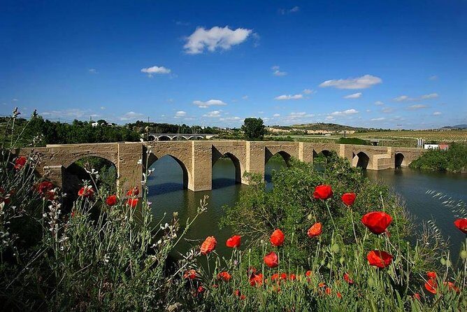 Rioja Alavesa Wineries and Medieval Villages Day Trip - Medieval Villages and Hilltop Laguardia: The Scenic Reset