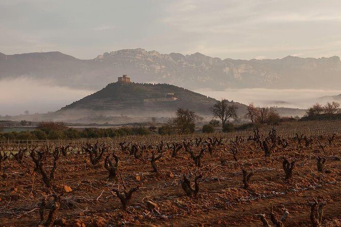 Rioja Alavesa Wineries and Medieval Villages Day Trip - A Full 9 Hours: How to Plan Your Day in San Sebastián
