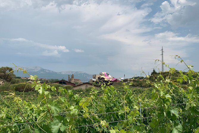 Rioja Alavesa Wineries and Medieval Villages Day Trip - Who This Tour Suits Best (And Who Might Skip It)