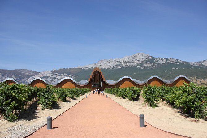 Rioja Full Experience Tour from San Sebastian with Lunch - Key things to know before you go