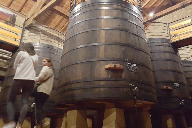 Rioja Full Experience Tour from San Sebastian with Lunch - Rioja from San Sebastián: a long but tidy day plan