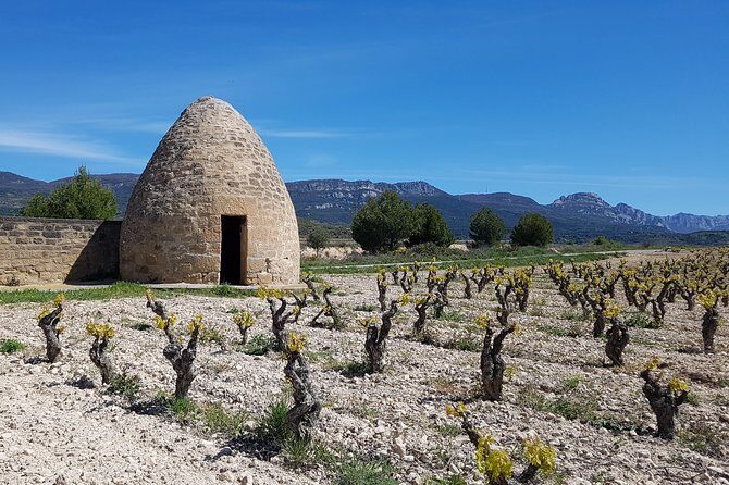 Rioja Full Experience Tour from San Sebastian with Lunch - Laguardia’s medieval streets: the break your legs will thank you for