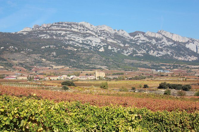 Rioja Full Experience Tour from San Sebastian with Lunch - Guides like Ander and Nina: why the Basque connection matters