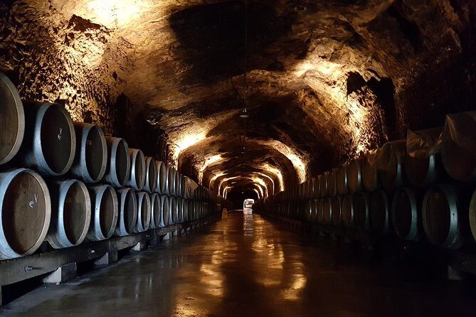 Rioja Full Experience Tour from San Sebastian with Lunch - Price and what $528.11 per person really buys you