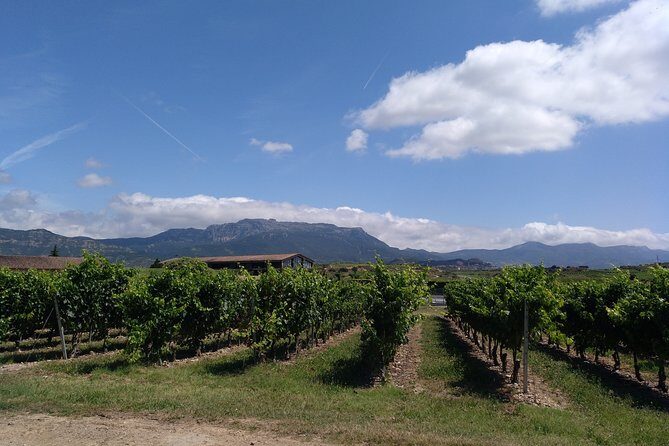 Rioja Uncorked: Private Wine Experience from San Sebastián - Labastida: Independent Projects, Village Stroll, and a Different Rioja Voice