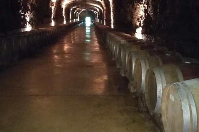 Rioja Wine Private Tour from San Sebastian - Three Winery Stops in One Day: Gomez Cruzado, Ostatu, Luis Cañas