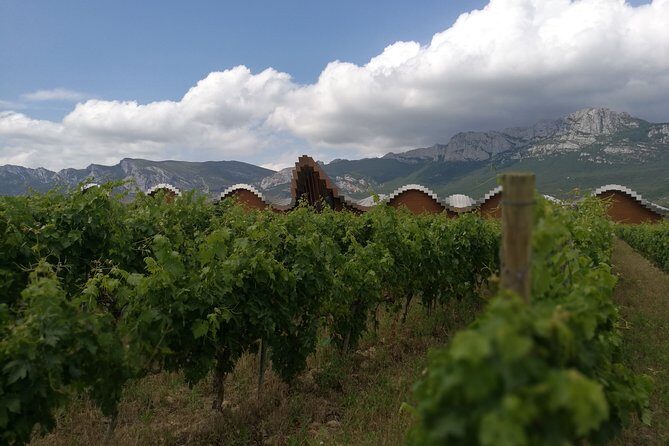 Rioja Wine Private Tour from San Sebastian - The Drive to Rioja: Comfort, Flow, and Time to Reset