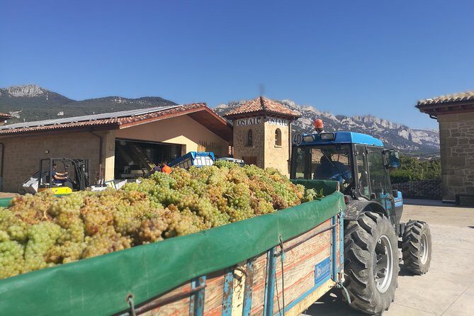 Rioja Wine Private Tour from San Sebastian - Who This Tour Is Best For (and Who Might Want Another Style)