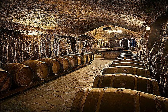 Rioja Wine Tour: Winery, Tasting & Lunch from San Sebastian - Why this Rioja day works so well from San Sebastián