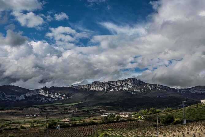 Rioja Wine Tour: Winery, Tasting & Lunch from San Sebastian - How much wine, and how to enjoy it without feeling rushed