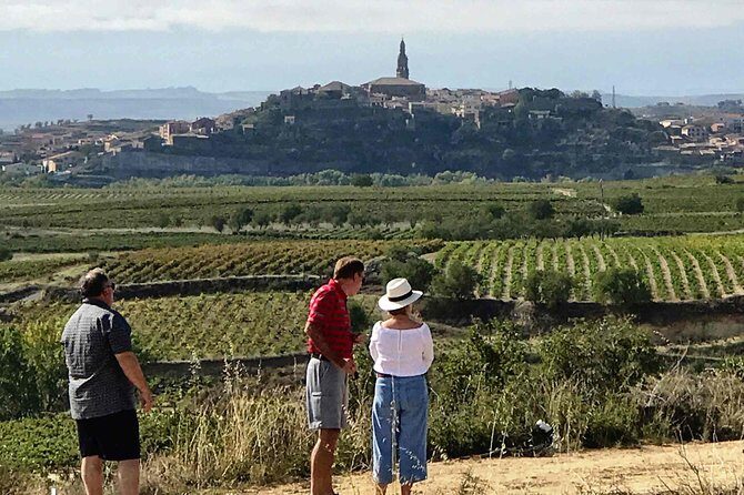 Rioja Wineries and Laguardia Tour with Picnic from San Sebastian - Key Highlights You’ll Care About