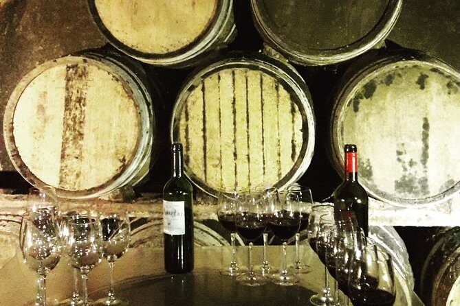 Rioja's Top wines tasting private tour - Hotel Pickup and the Air-Conditioned San Sebastián Escape