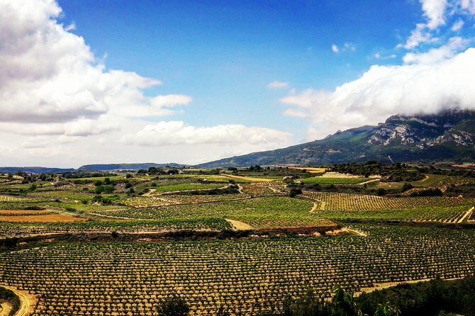 Rioja's Top wines tasting private tour - Stop 1: Haro’s Winery Density and Quick Hits (1 Hour)