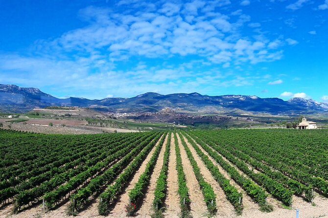 Rioja's Top wines tasting private tour - Stop 2: Laguardia’s Medieval Streets and 14th-Century Wine Caves (1.5 Hours)