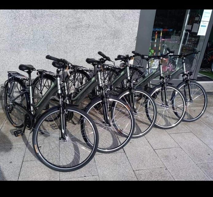 San Sebastian: Bike tour with FREE snack & drink! - Why This San Sebastián Bike Tour Works So Well