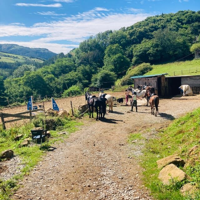 San Sebastian: Horseback Riding & Traditional Delights - Key highlights to pay attention to