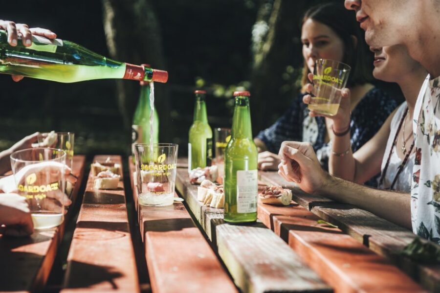San Sebastián: Traditional Cider House Tour with Lunch - Time, group size, and languages: what pacing feels like