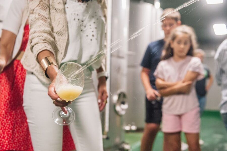 San Sebastián: Traditional Cider House Tour with Lunch - Who this tour fits best