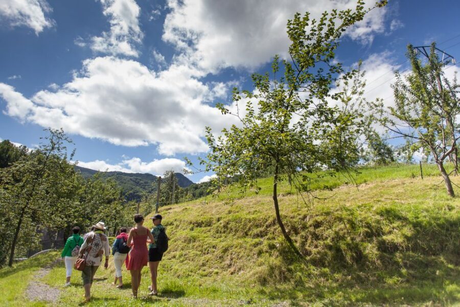 San Sebastián: Traditional Cider House Tour with Lunch - Txotx ritual: how the barrel tasting actually works