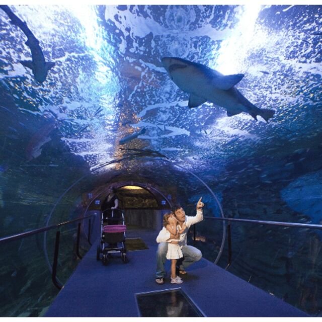 San Sebastian walking tour and aquarium - Key highlights worth your attention