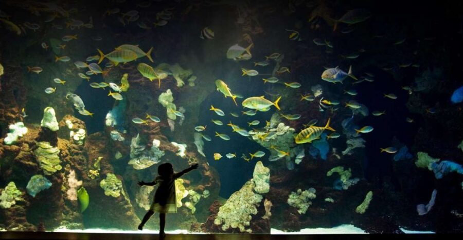 San Sebastian walking tour and aquarium - Starting at the tourist office: where the walk really begins