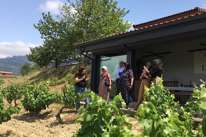 The Real Rioja Explore Tour - Private experience - Getting there: pickup, timing, and the “comfortable van” factor