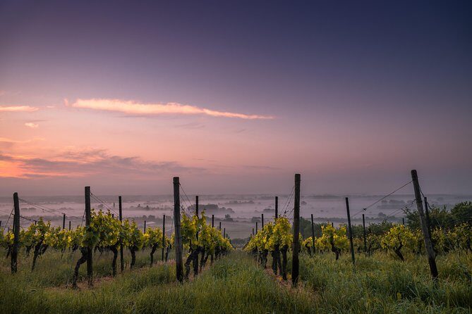 The Real Rioja Explore Tour - Private experience - Who this tour suits best (and who might want a different plan)