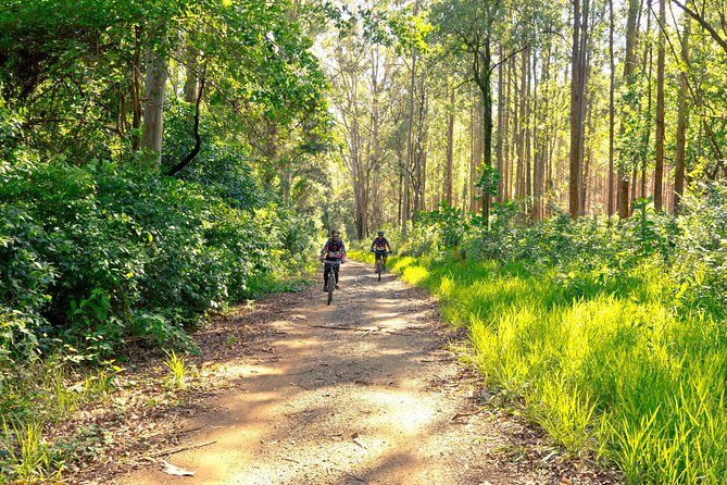 The Train Track Trail Mountain Bike Ride - Private experience - Quick hits before you go