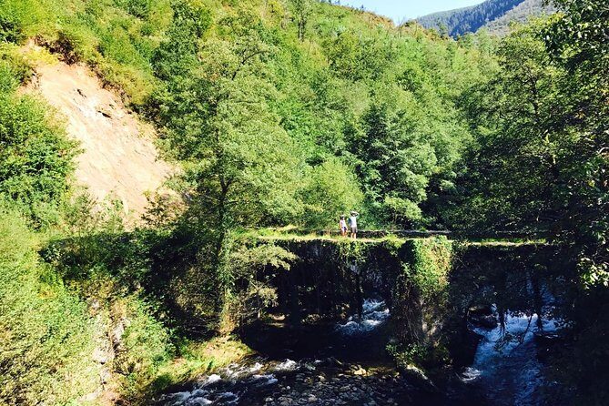 The Train Track Trail Mountain Bike Ride - Private experience - Price and value: what $276.67 per person buys you