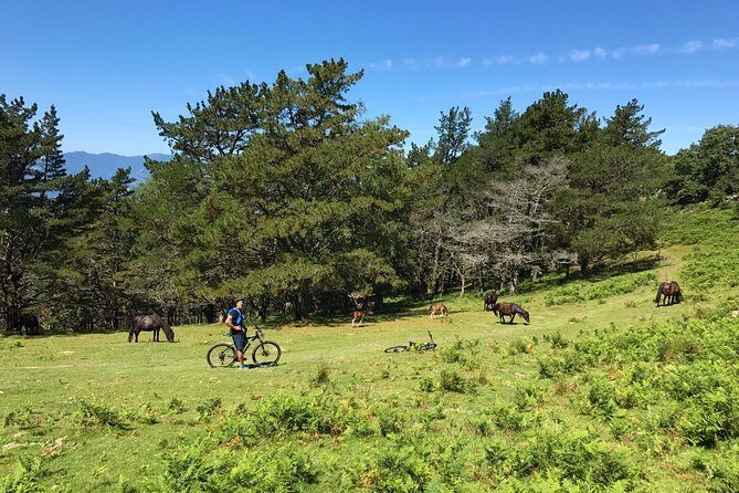 The Train Track Trail Mountain Bike Ride - Private experience - Getting there from San Sebastián: pickup that keeps the morning easy